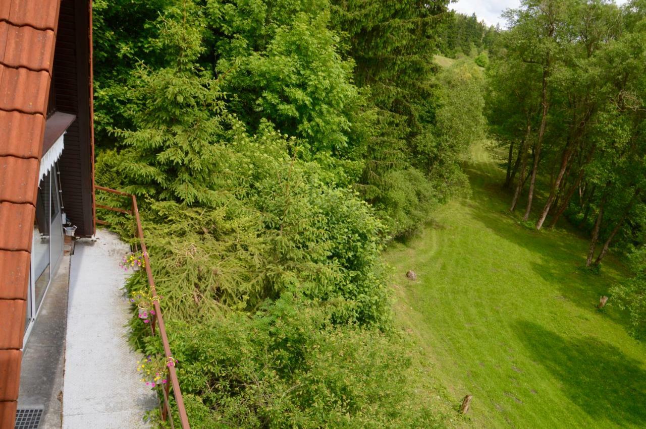Ferienhaus Am Rachental Rubeland Luaran gambar